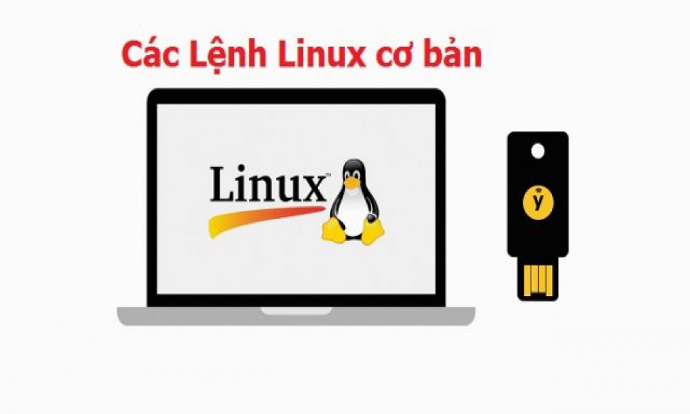 Lệnh cơ bản trên Linux - Phần 4